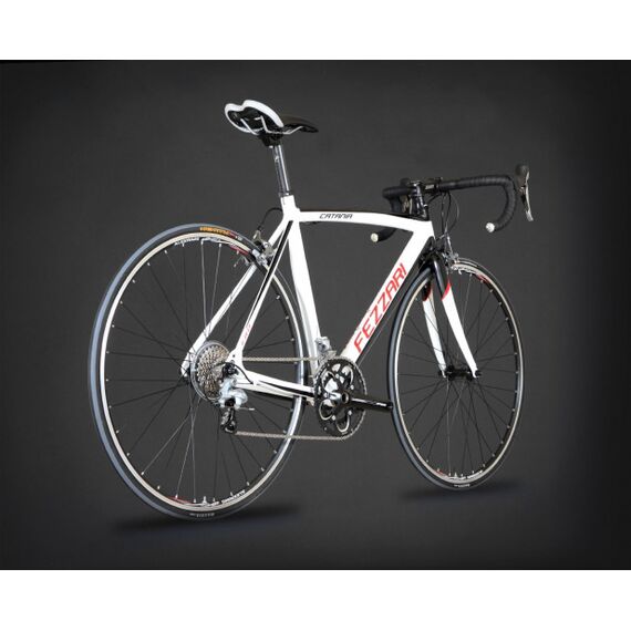 كاتانيا كاتانيا